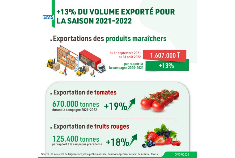 Produits maraîchers: hausse du volume exporté de 13%