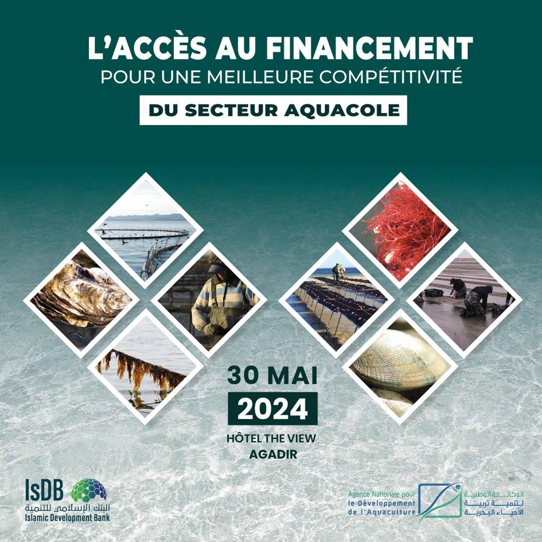 Séminaire sur le Financement du Secteur Aquacole au Maroc : Une Initiative de l'ANDA et de la BID